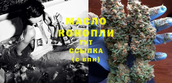 молекула духа Верхний Тагил