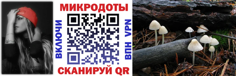 Купить  Усть-Кут  Псилоцибиновые грибы Cubensis 